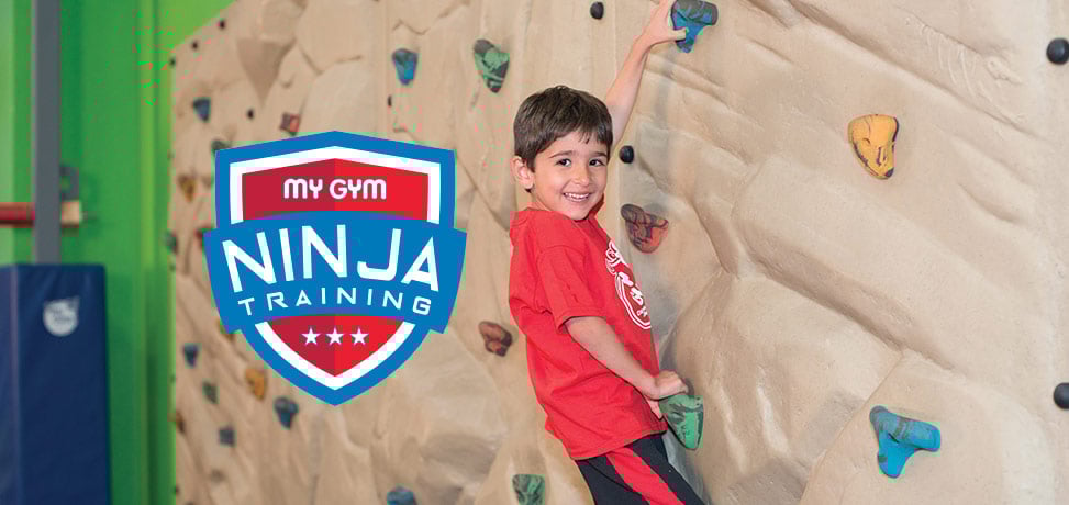 Ninja Training Ninja Training