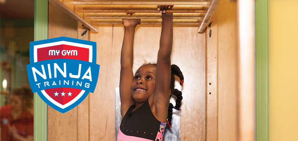 Ninja Training Programs